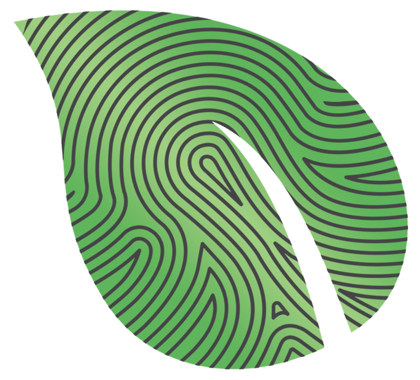 RCA 100 ft Speaker Wire 16 Guage