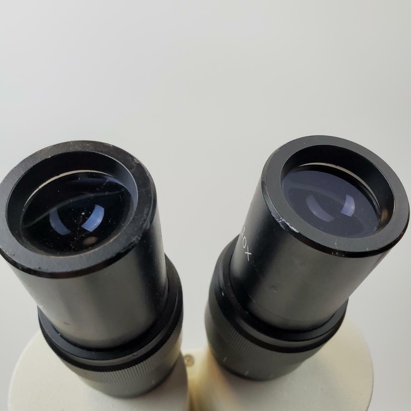 Fisher Scientific Stereomaster 12-562-1 Microscope | Grade B