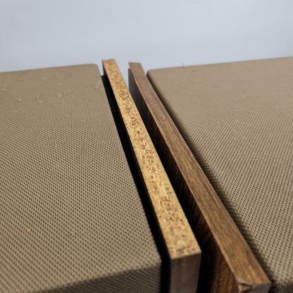 BOSE 301 SERIES II Stereo Speaker Pair | Grade B