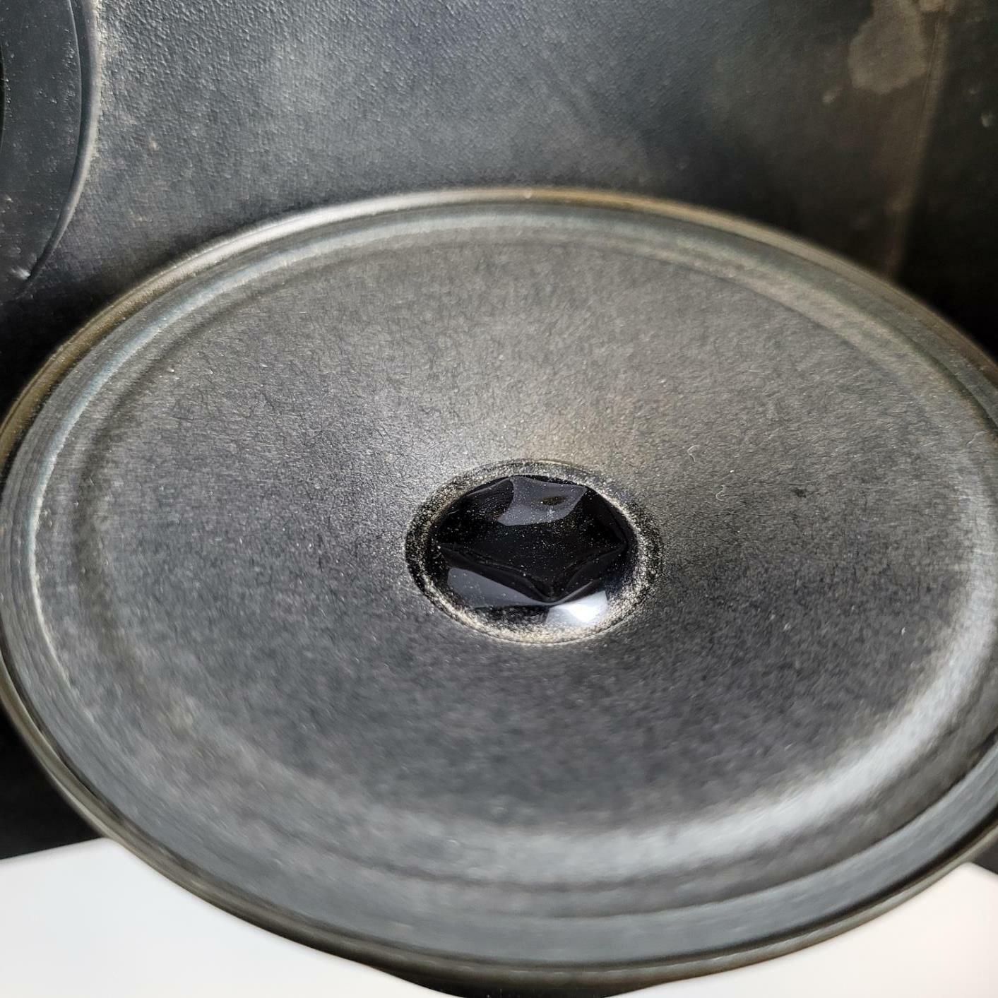 BOSE 301 SERIES II Stereo Speaker Pair | Grade B